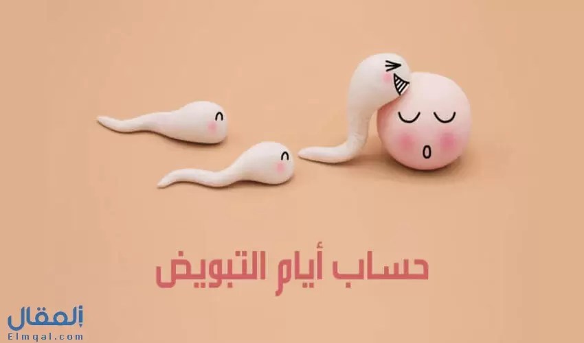 طرق حسابات التبويض